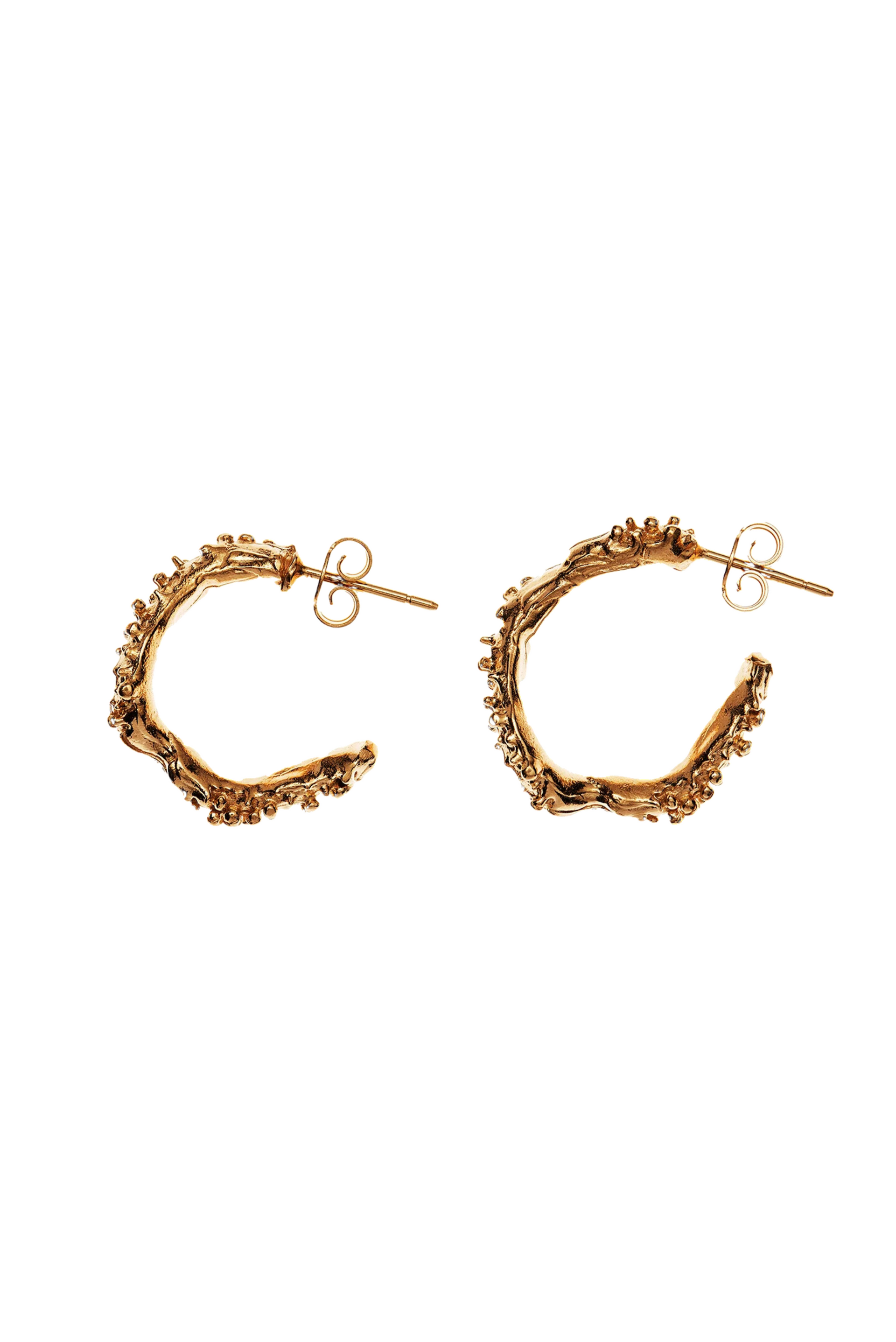 ALIGHIERI THE LUNAR ROCK HOOP EARRINGS THE OWN STUDIO